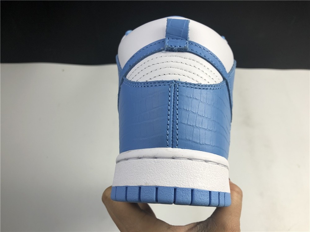 Nike SB DUNK High PRO 307385-141