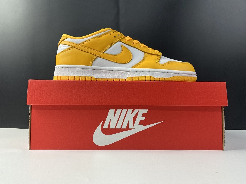 NIKE DUNK LOW  DD1503-800