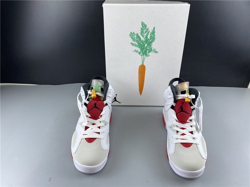 Air Jordan 6 retro hare CT8529-062