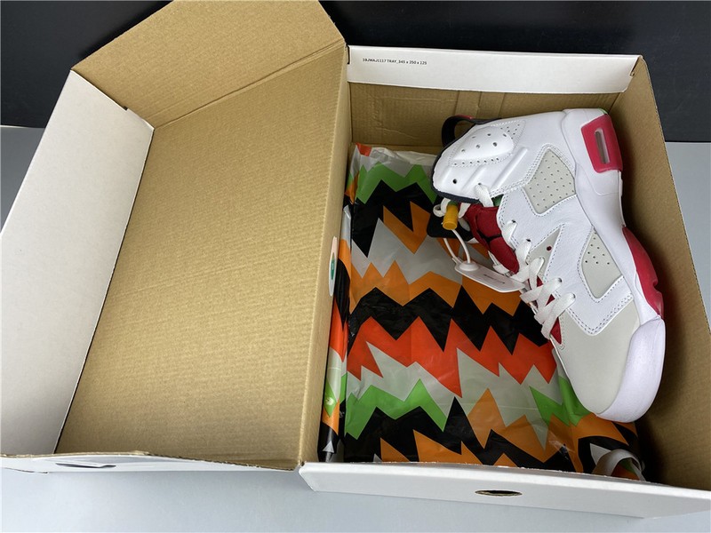 Air Jordan 6 retro hare CT8529-062