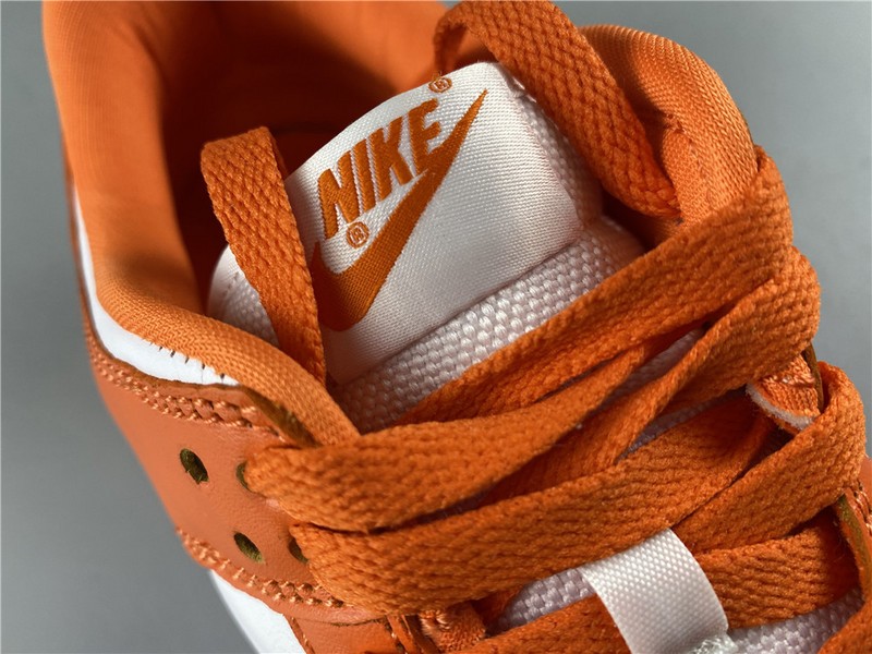 Nike dunk low sb syracuse  CU1726-101