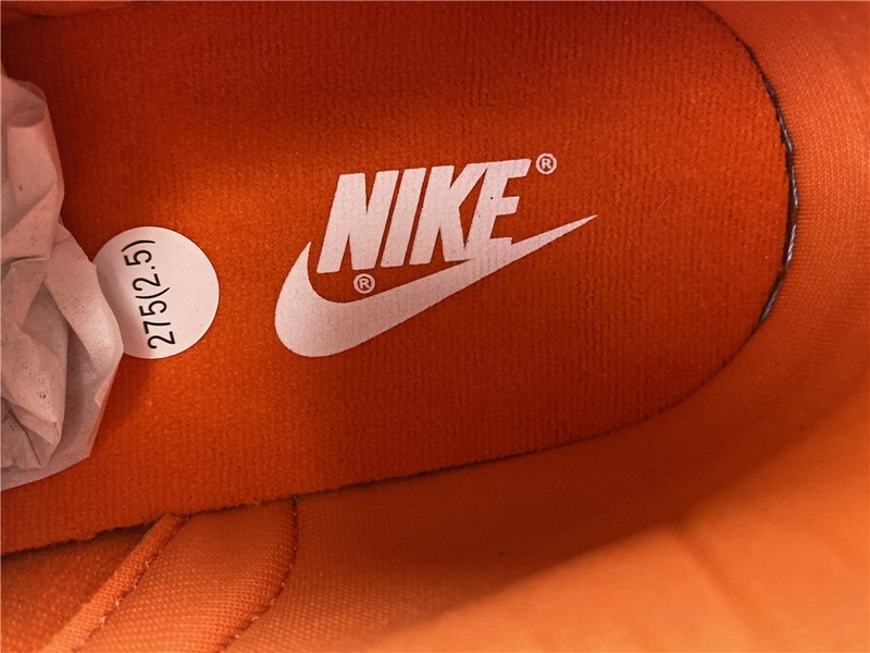 Nike dunk low sb syracuse  CU1726-101
