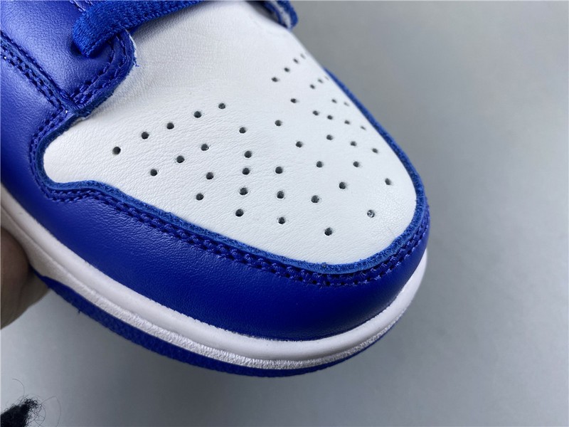 Nike dunk low sb kentucky  CU1726-100
