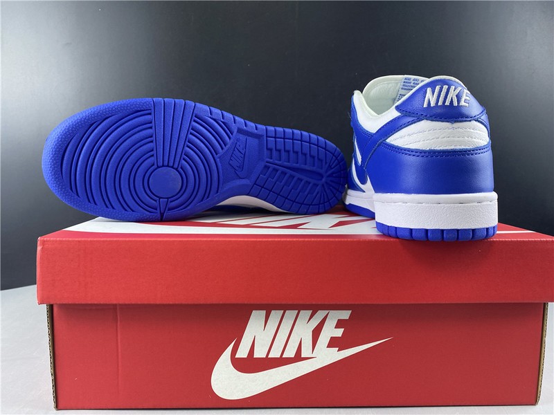Nike dunk low sb kentucky  CU1726-100