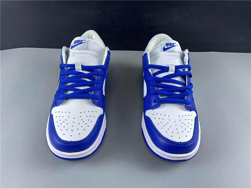 Nike dunk low sb kentucky  CU1726-100