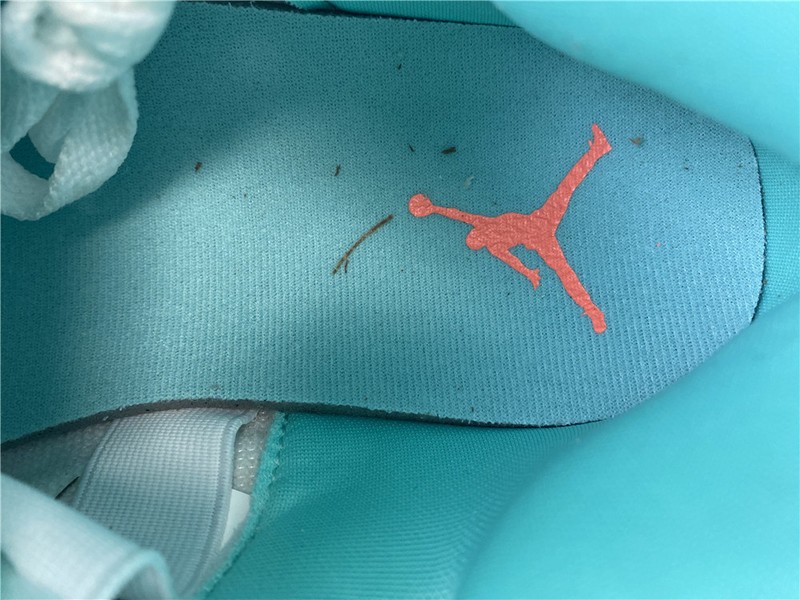 Air Jordan 5 Retro  