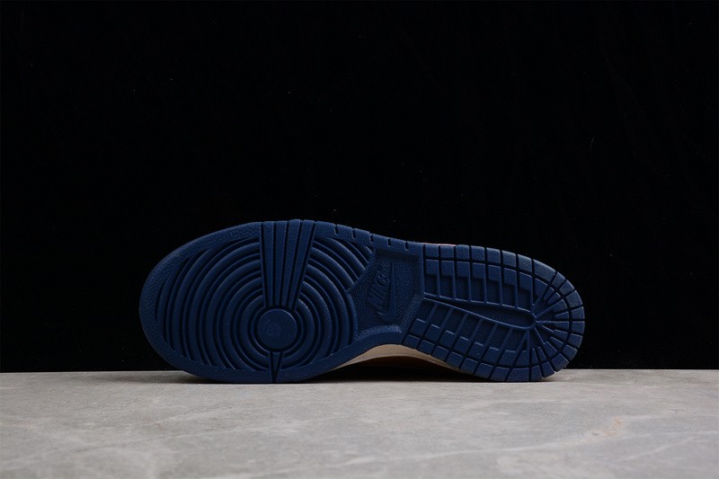 Nike Dunk Low Michigan DD1391-700