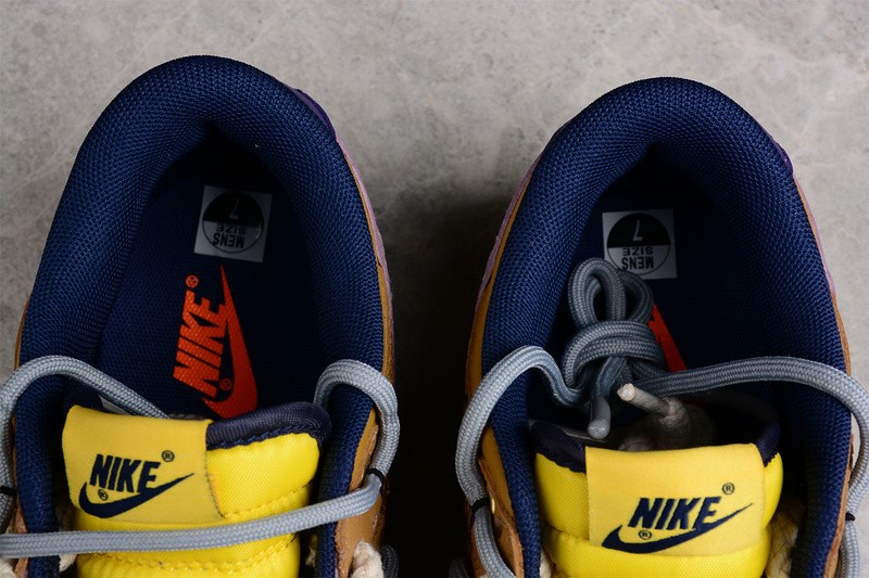 Nike Dunk Low Michigan DD1391-700