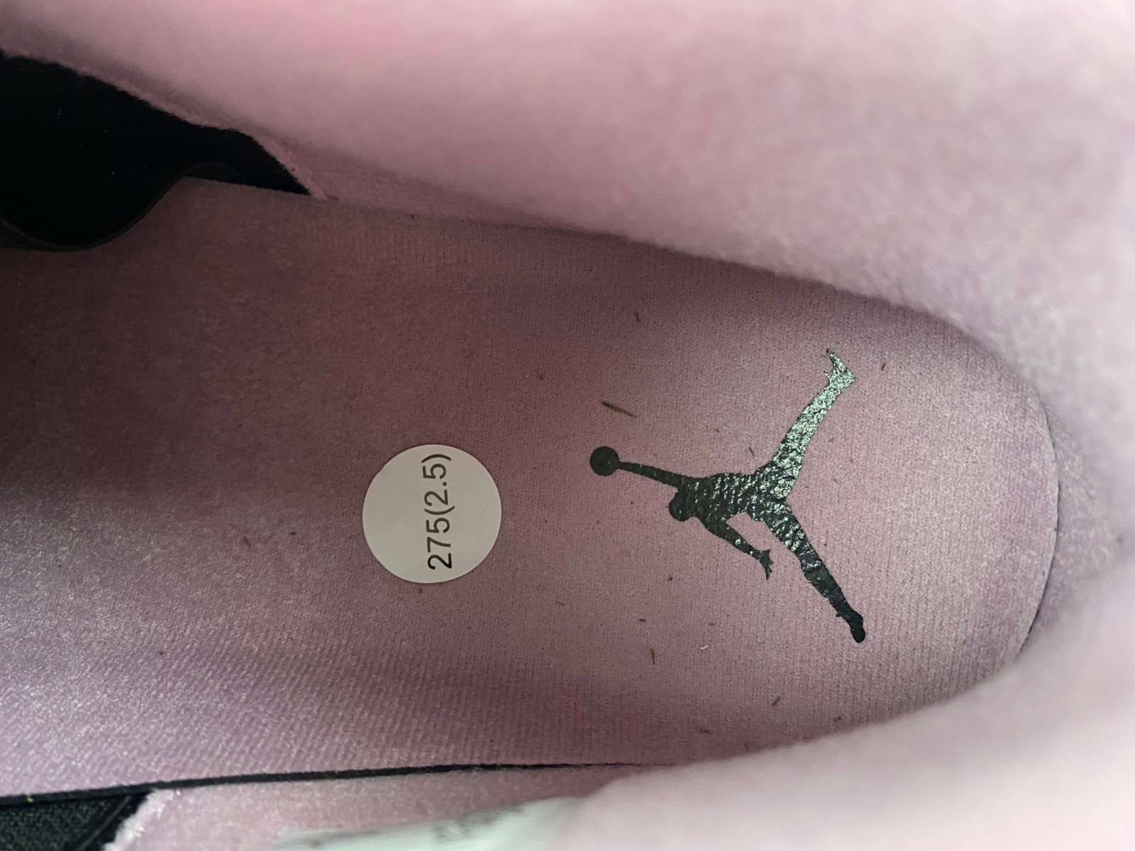 Air Jordan 4 WMNS "Orchid" AQ9129-501