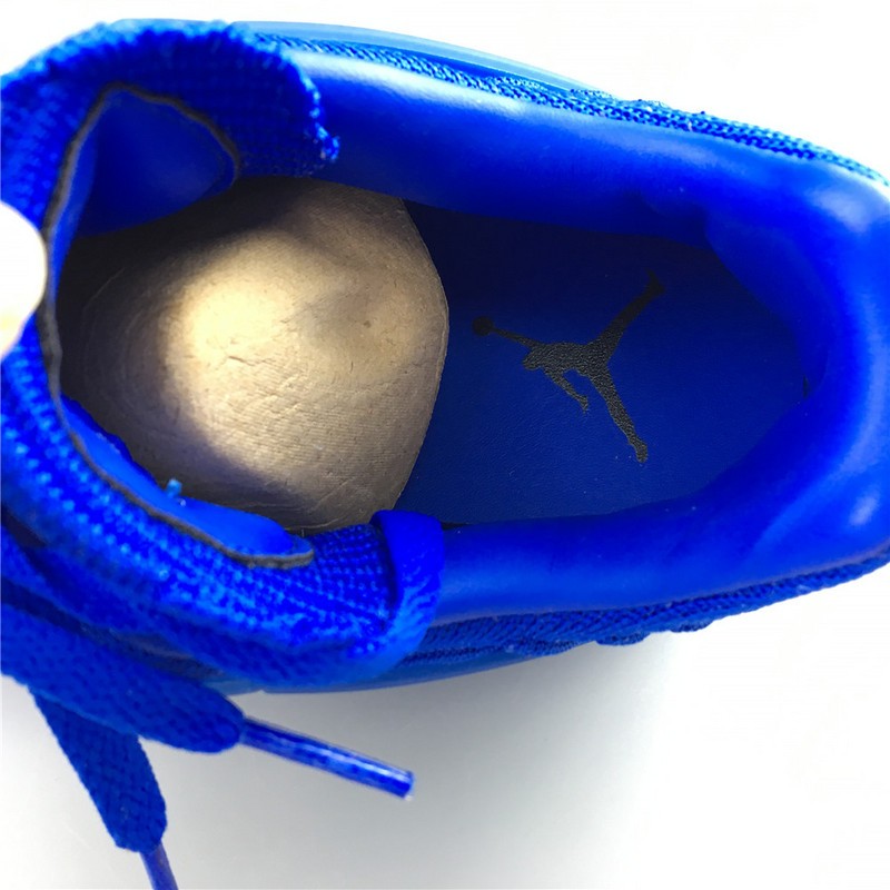 Air Jordan 4 Flyknit Royal AQ3559-400