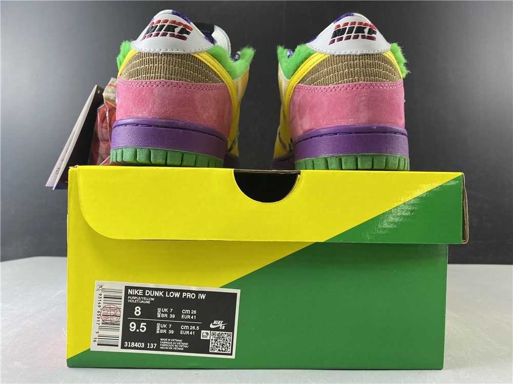 Nike SB Dunk Low Pro IW  318403-137