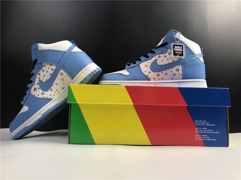 Nike SB DUNK High PRO 307385-141