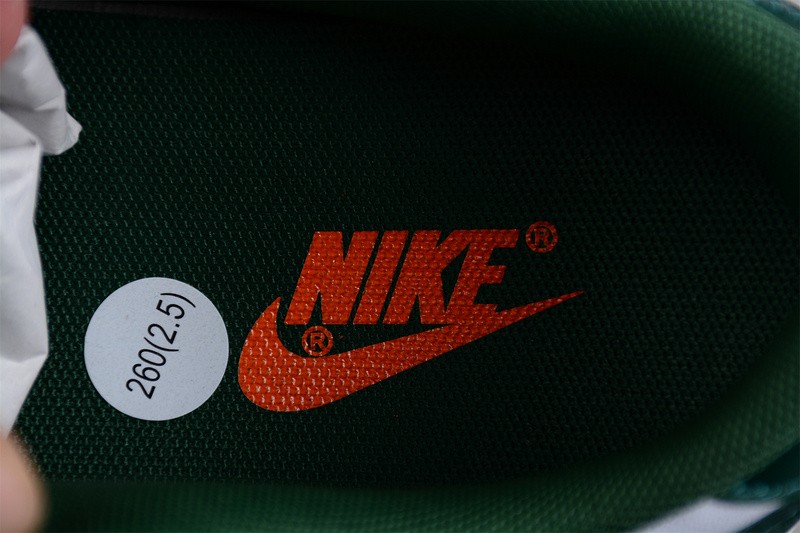 NIKE DUNK LOW Ch**me He**ts DD1391-111