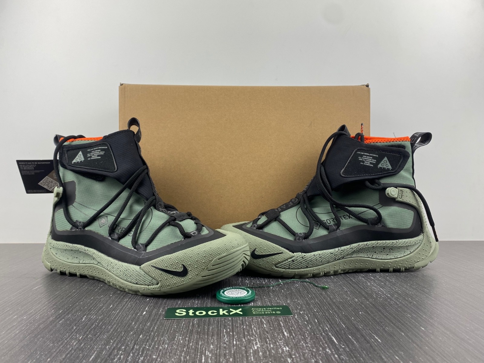 Nike ACG Terra Antarktik GORE-TEX BV6348-300