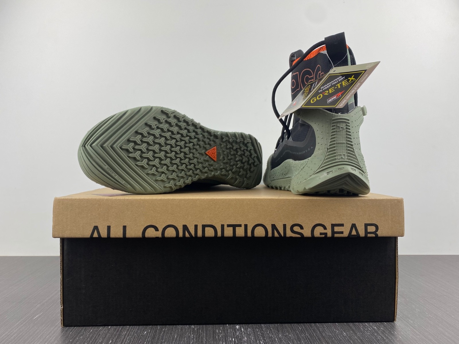 Nike ACG Terra Antarktik GORE-TEX BV6348-300