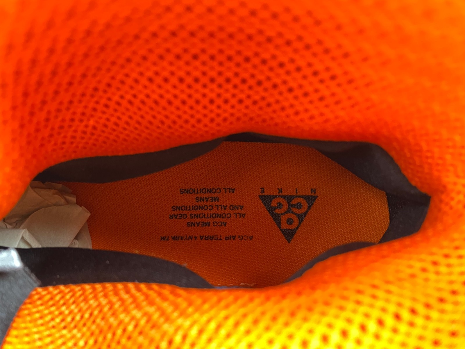 Nike ACG Terra Antarktik GORE-TEX BV6348-300