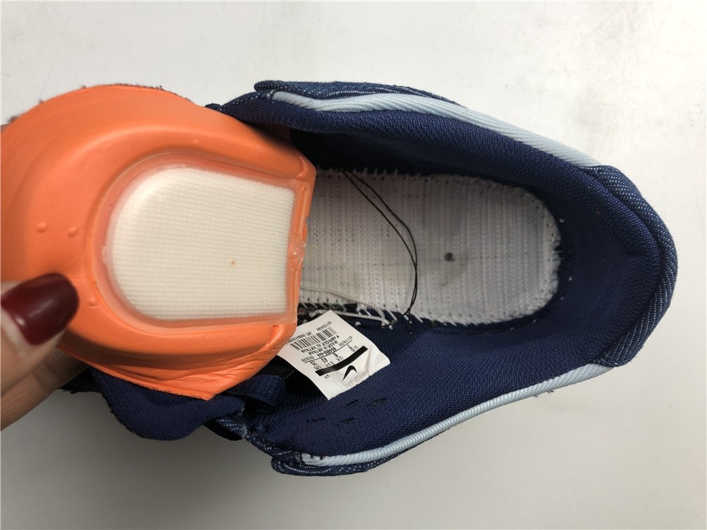 Nike SB ZOOM Dunk Low PRO 854866-444