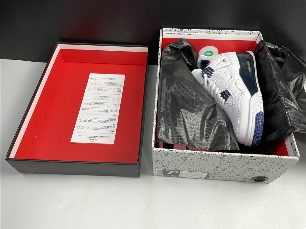 Air Jordan 4 Retro LS 