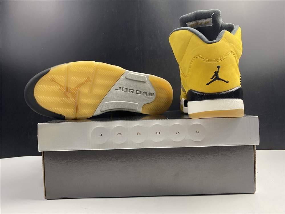 Air JORDAN 5 Tokyo T23 454783-701