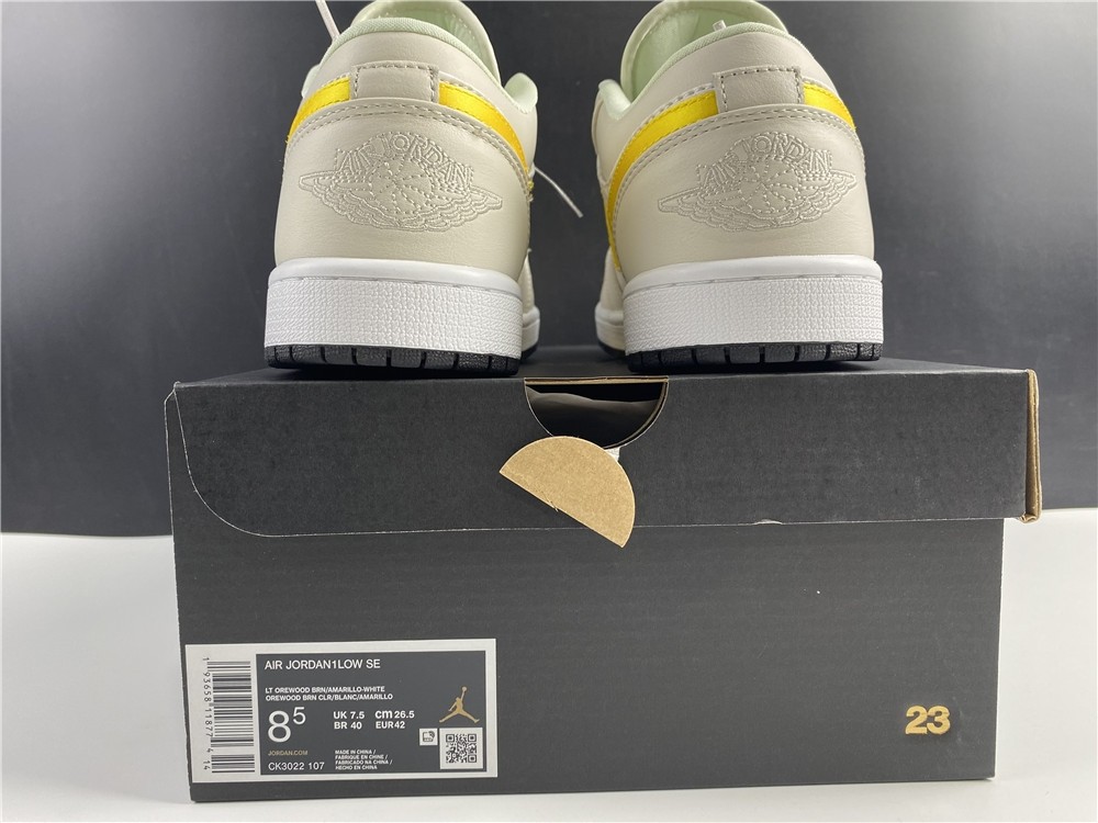 Air Jordan 1 Low “Palm Tree” CK3022-107