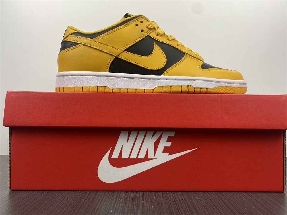 Nike Dunk Low Iowa Black Goldenrod White DD1391-004