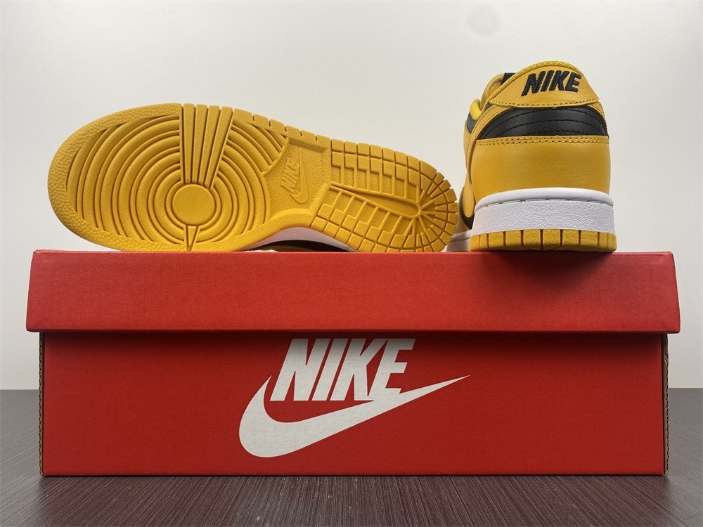 Nike Dunk Low Iowa Black Goldenrod White DD1391-004