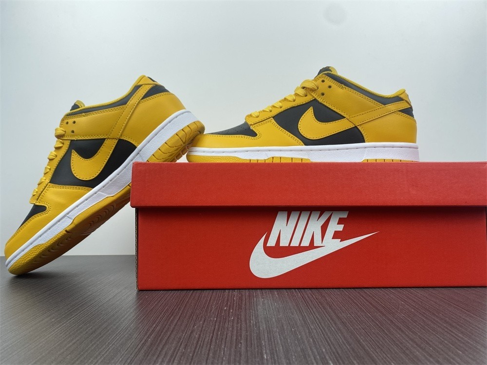 Nike Dunk Low Iowa Black Goldenrod White DD1391-004