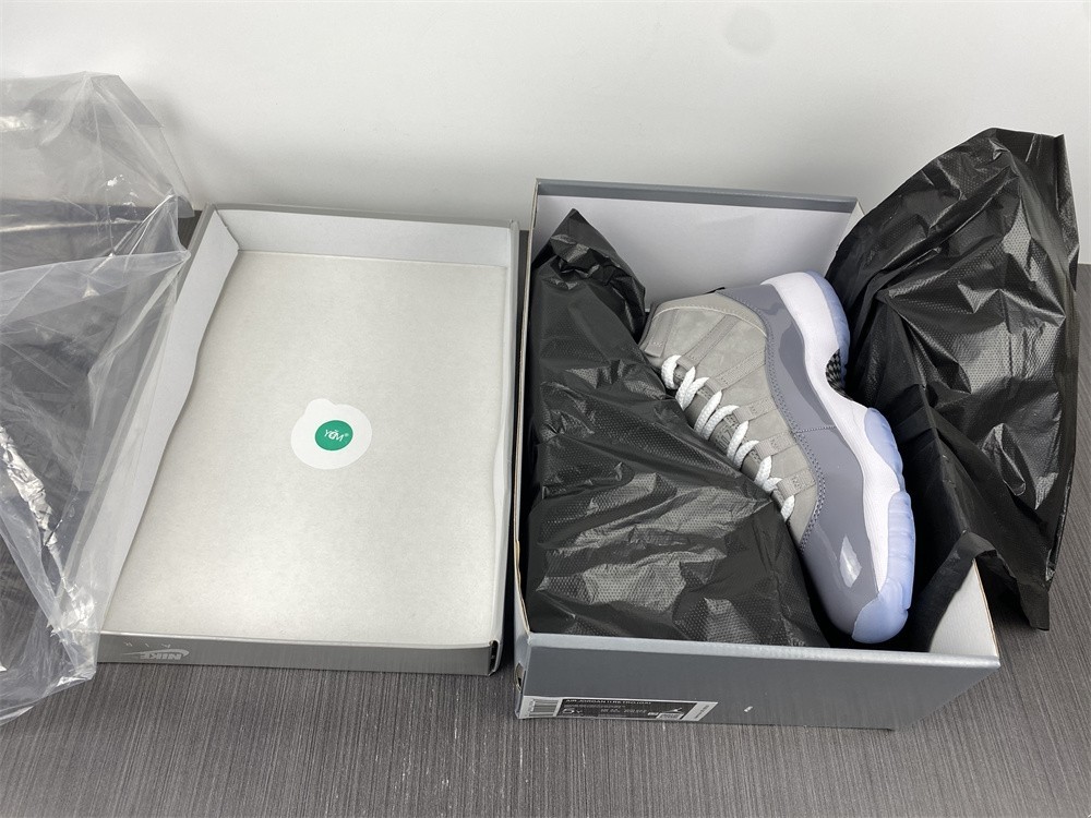 Air Jordan 11 Cool Grey (3G) CT8012-005 2021