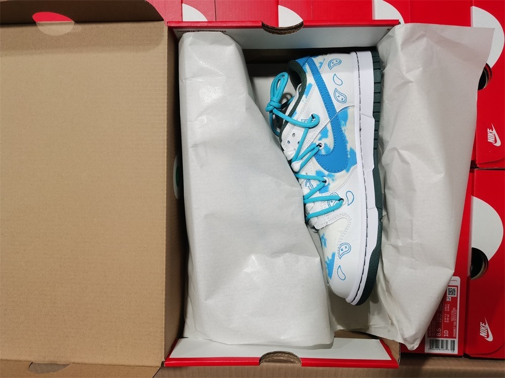 Nike Dunk Low RETRO  DH0957-100