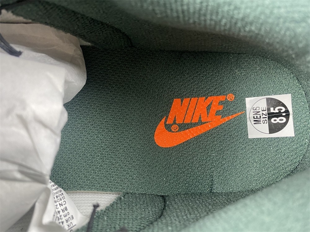 Nike Dunk Low RETRO  DH0957-100