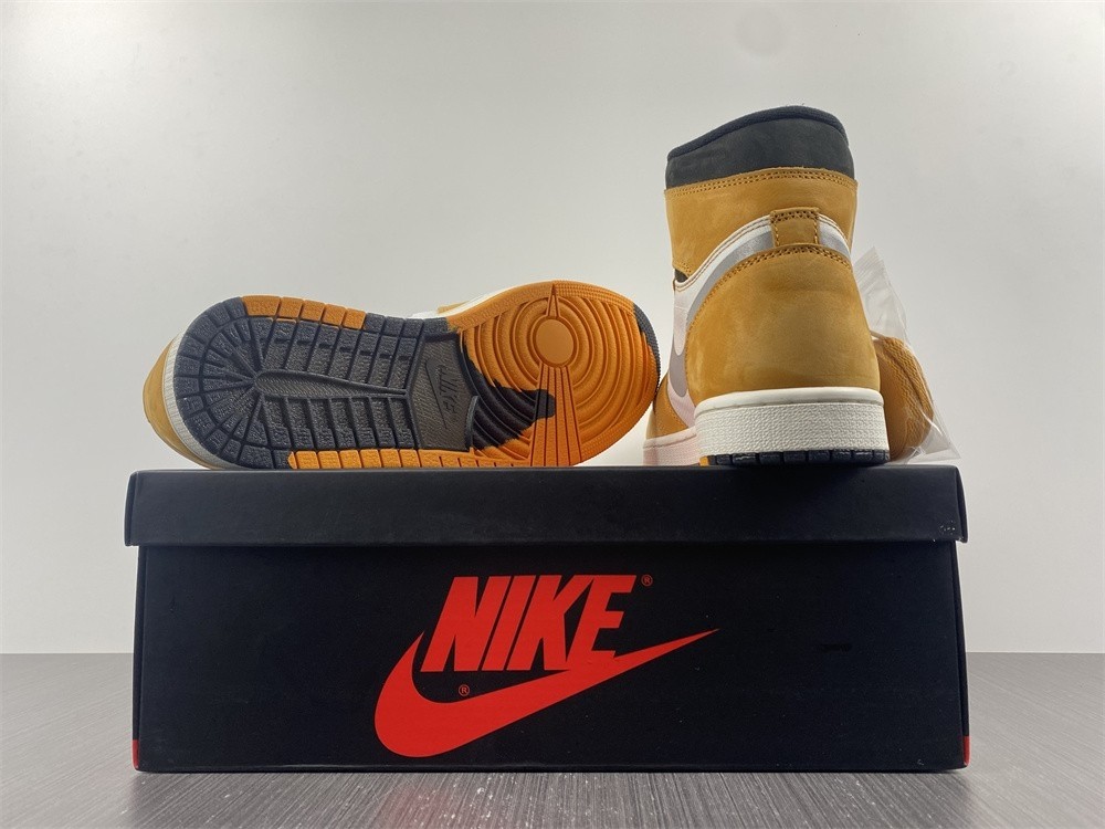 Air Jordan 1 Element Gore-Tex Light Curry DB2889-700