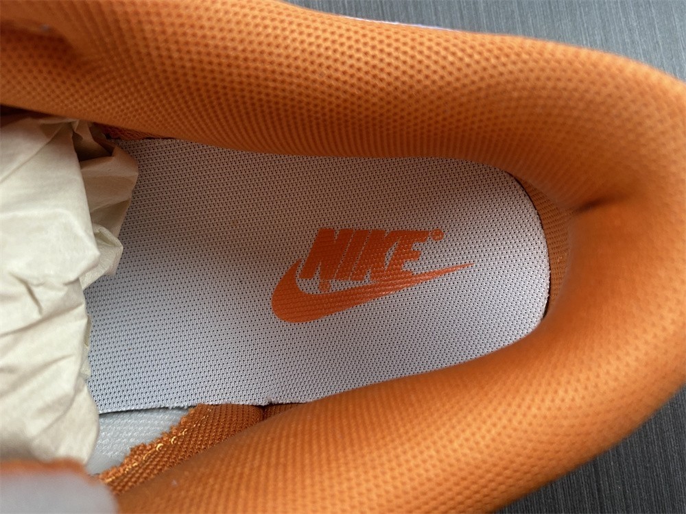 Otomo Katsuhiro x Nike SB Dunk Low LF0039-002