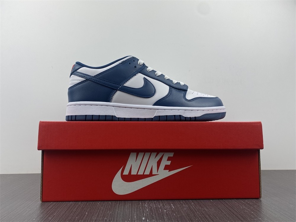 Nike Dunk Low Valerian Blue - DD1391-400