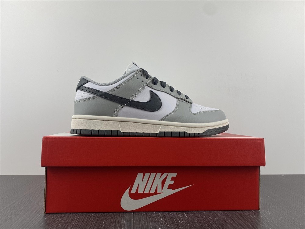 Nike Dunk Low Light Smoke Grey - DD1503-117