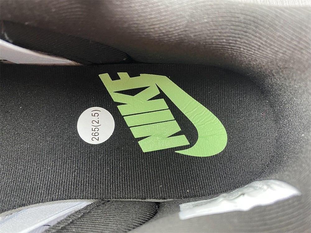 Nike Dunk Low Disrupt 2 "White/Black" DV1490-161
