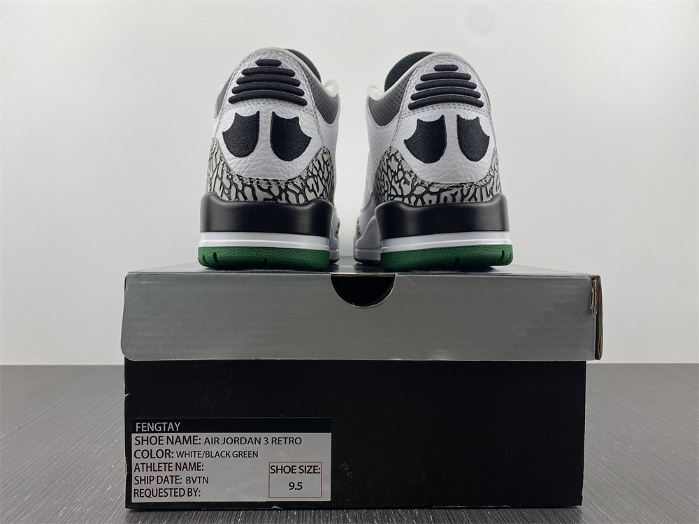 Air Jordan 3 Retro Oregon Ducks Pit Crew 594282-233