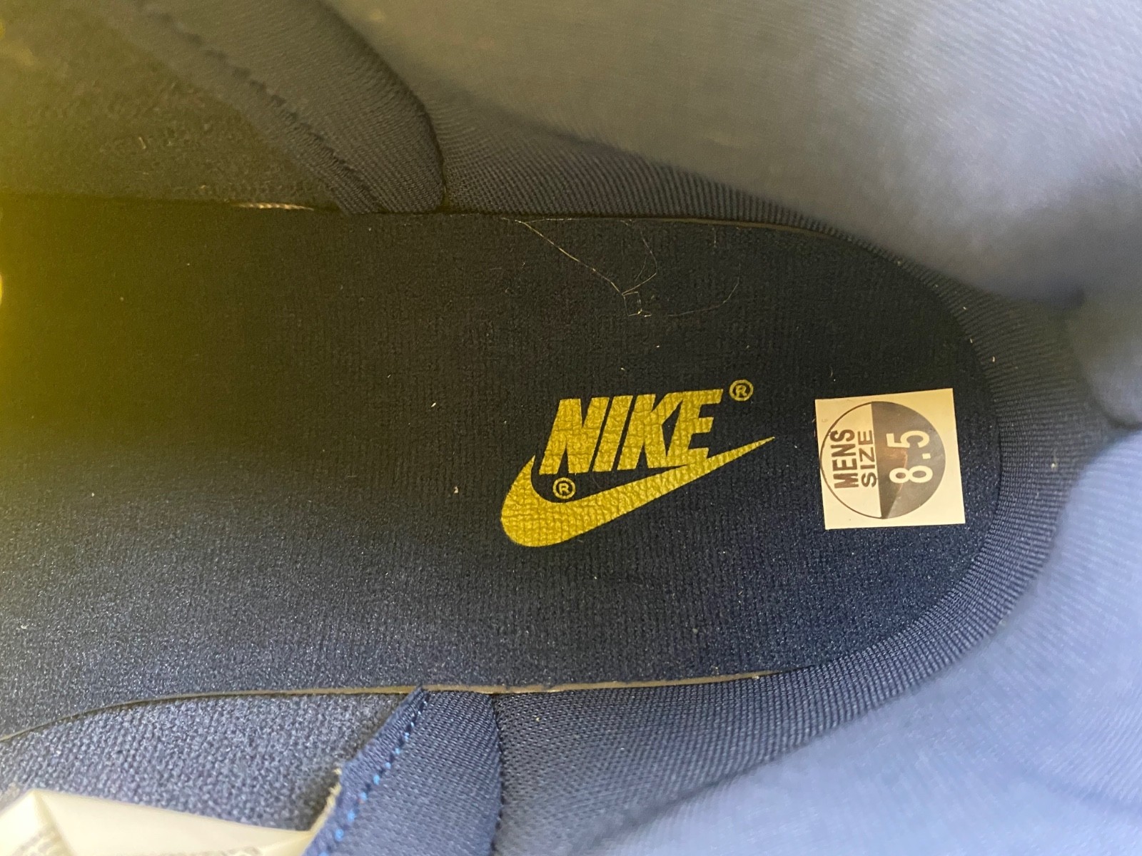 Nike Dunk High Michigan (2020) - CZ8149-700