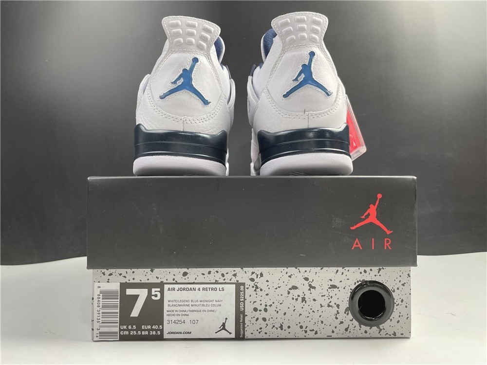 Air Jordan 4 Retro LS 