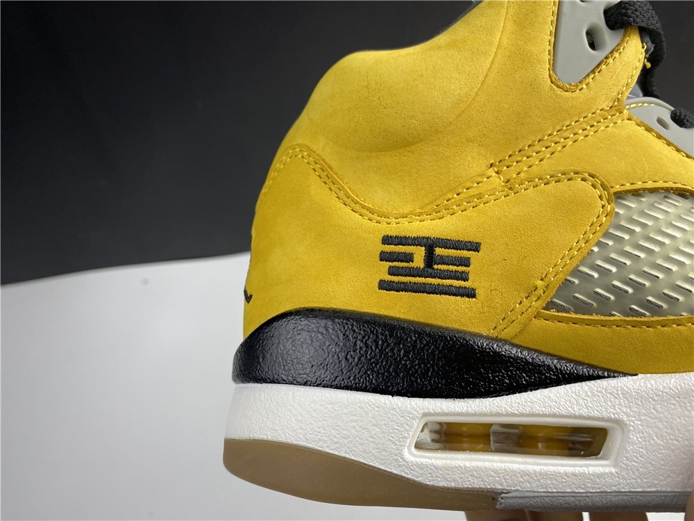 Air JORDAN 5 Tokyo T23 454783-701