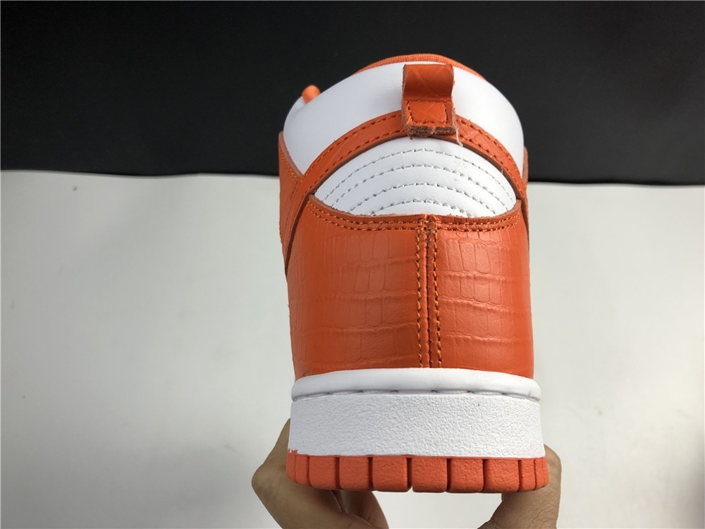 Nike SB DUNK High PRO 307385-181