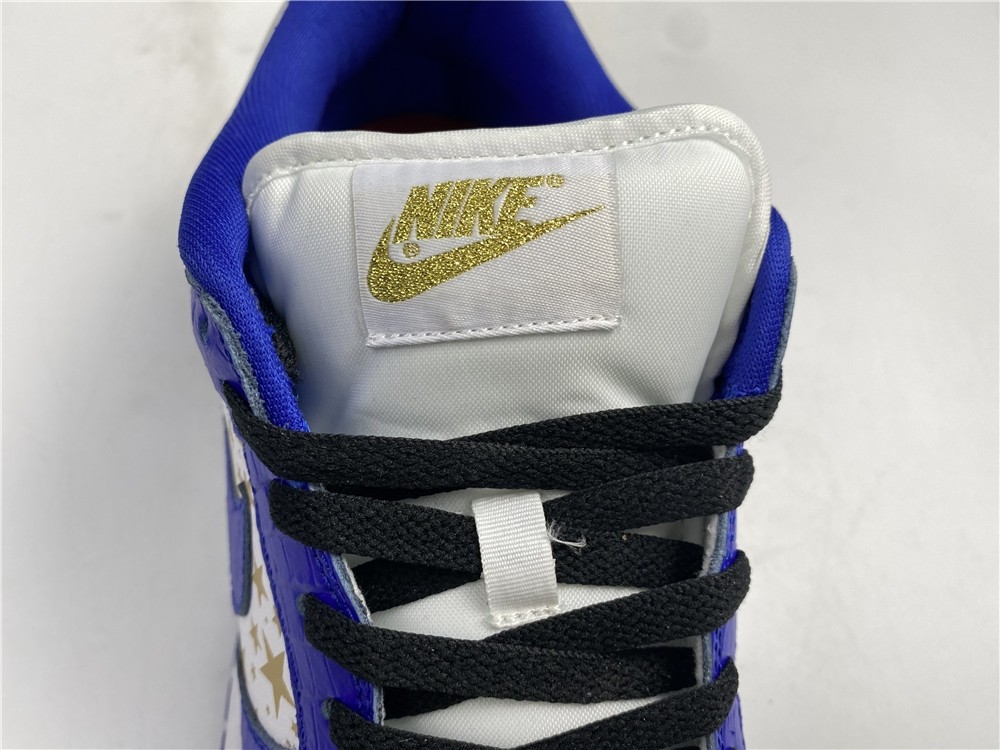 S*p*e x Nike SB Dunk Low DH3228-103