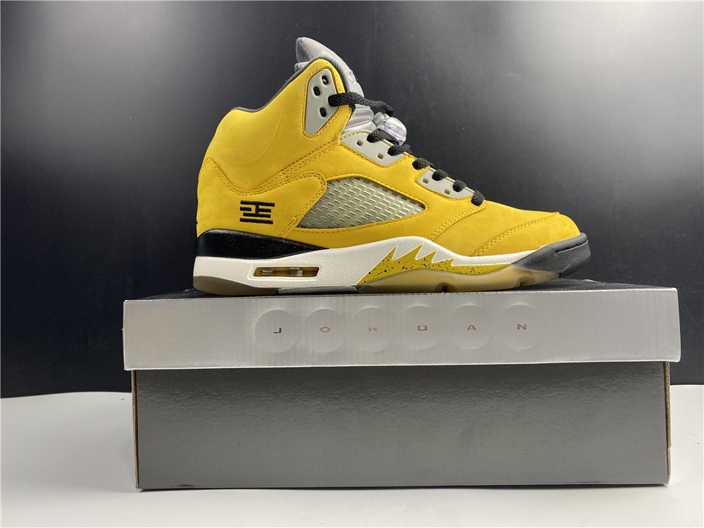 Air JORDAN 5 Tokyo T23 454783-701