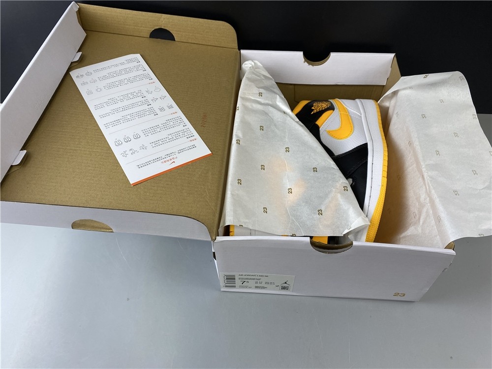 Air Jordan 1 Mid  SE CV5276 107