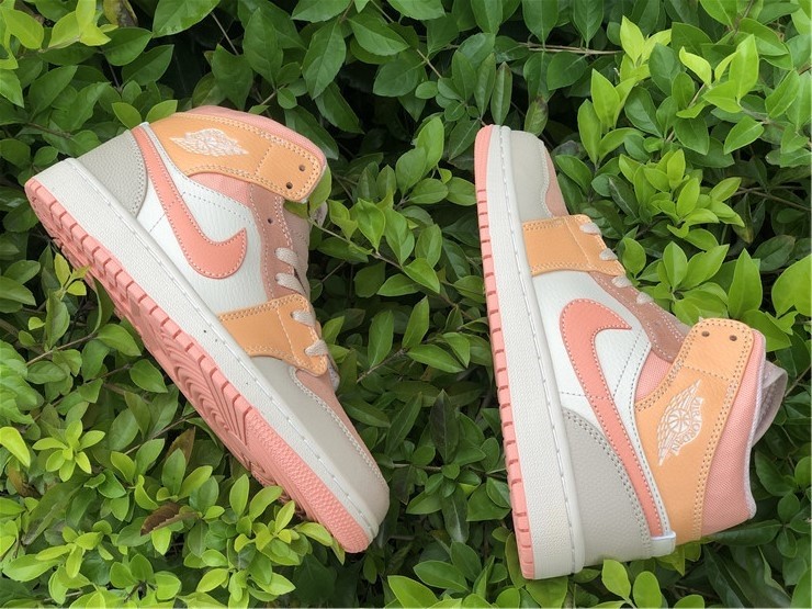 Air Jordan 1 Mid DH4270-800