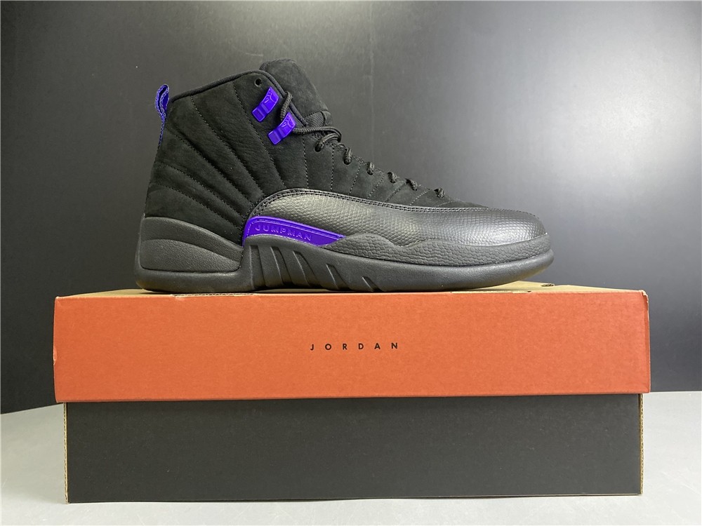 Air Jordan 12 “Dark Concord” CT8013-005