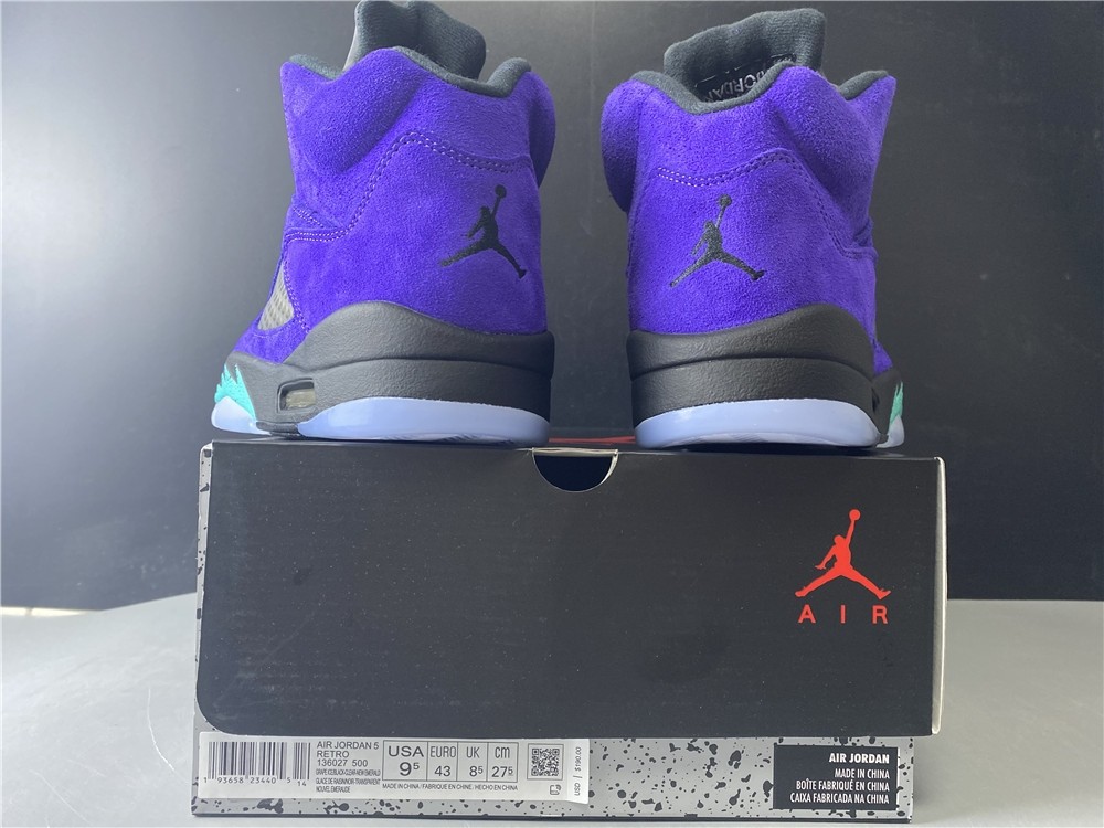 Air Jordan 5 Alternate Grape 136027-500