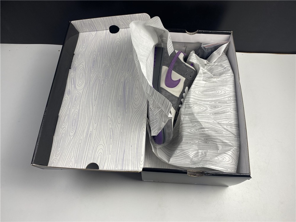 NIKE DUNK LOW PRO SB 304292-051