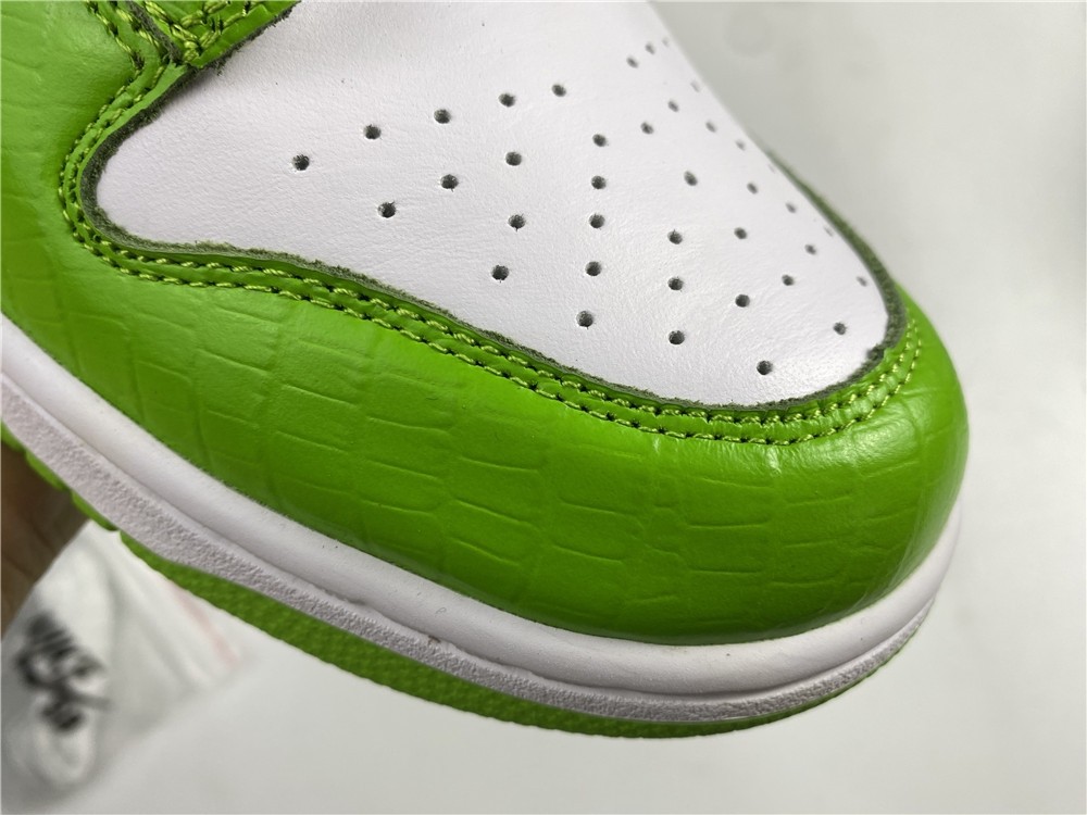 S*p*e x Nike SB Dunk Low DH3228-101