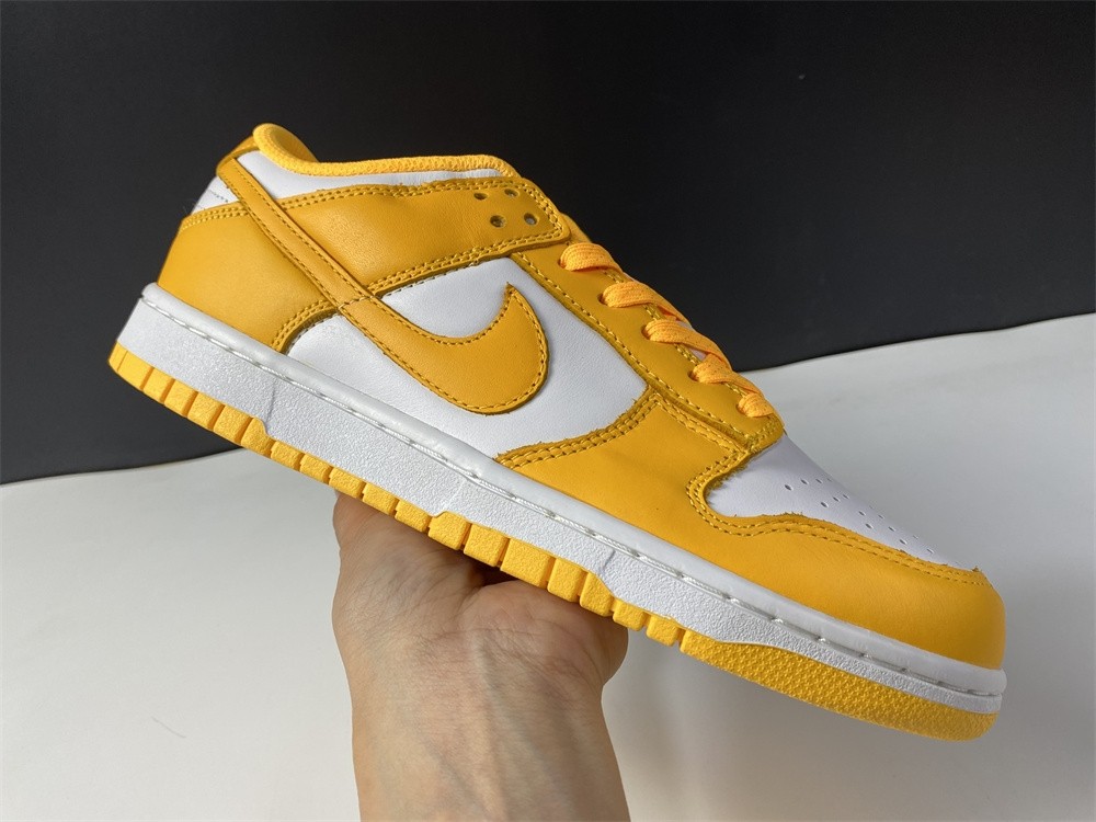 NIKE DUNK LOW  DD1503-800