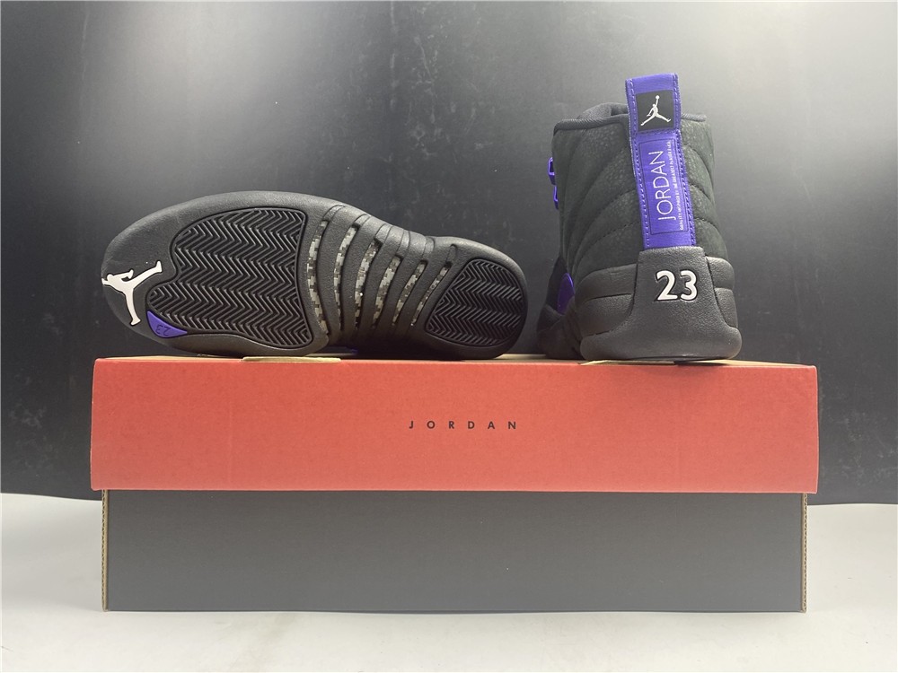 Air Jordan 12 “Dark Concord” CT8013-005